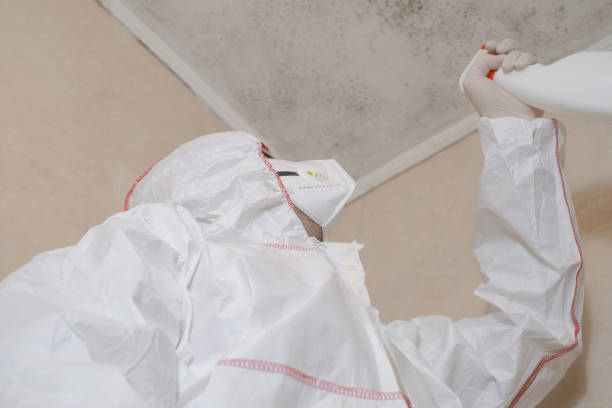 Water Damage Restoration in Stokesdale, NC